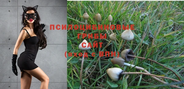 МДПВ Заводоуковск
