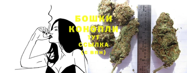 сатива Заволжск