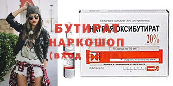 шишки Сосновый Бор